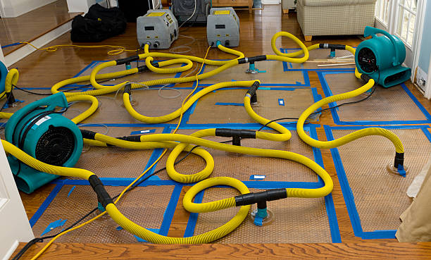 Professional Basement Flood Cleanup technician working in Williams, AZ